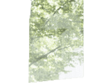 Charger l&#39;image dans la galerie, Femme utilisant un nettoyeur de sol dans un salon avec des planchers en bois et des plantes.
