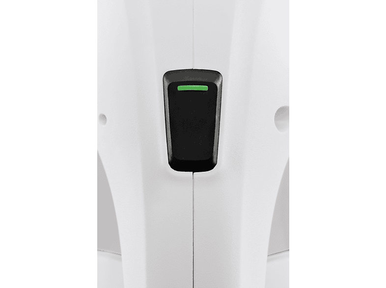 alt1