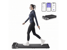 Charger l'image dans la galerie, alt1
