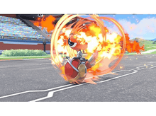 Charger l'image dans la galerie, alt1
