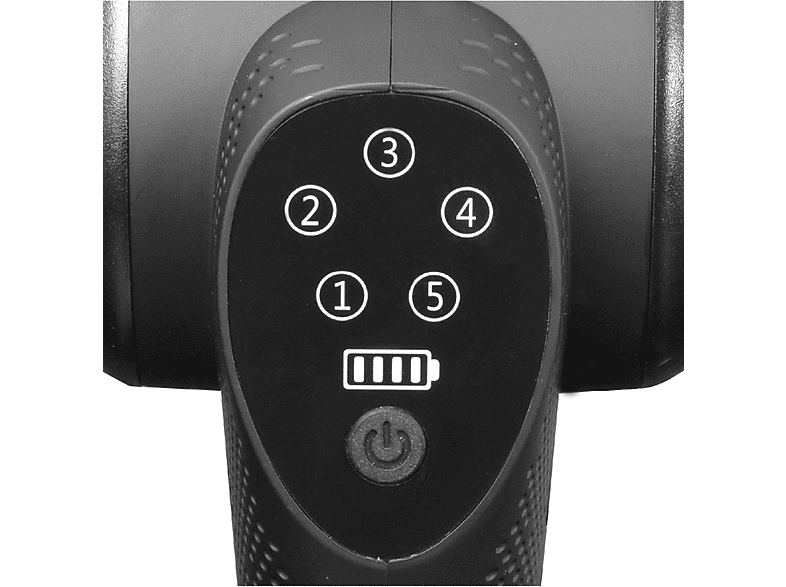 alt1