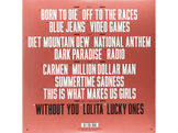 Lana Del Rey - Born to Die LP