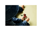 LEGO JURASSIC WORLD 76970 Bébé dinosaure : Aquilops