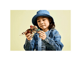 LEGO JURASSIC WORLD 76970 Bébé dinosaure : Aquilops