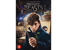 Charger l&#39;image dans la galerie, Les Animaux Fantastiques - DVD
