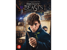 Les Animaux Fantastiques - DVD