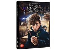 Charger l&#39;image dans la galerie, Les Animaux Fantastiques - DVD
