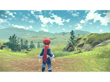 Charger l'image dans la galerie, Un homme portant un chapeau rouge debout dans un champ, avec des montagnes en arrière-plan.
