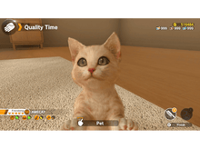 Charger l'image dans la galerie, Un mignon chat orange dans une interface de jeu vidéo. Le mot 'Pet' est mis en évidence.
