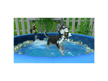 Charger l'image dans la galerie, alt1
