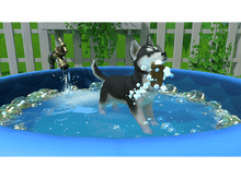 Charger l&#39;image dans la galerie, Little Friens: Puppy Island FR/UK Switch
