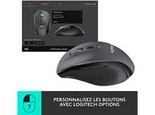 Charger l'image dans la galerie, alt1
