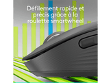 LOGITECH Souris sans fil M750 Graphite (910-007509)