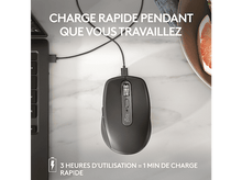 Charger l'image dans la galerie, alt1
