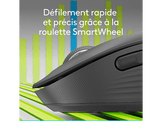 LOGITECH Souris sans fil Signature M650 M Graphite (910-006253)