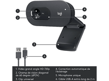 Charger l&#39;image dans la galerie, LOGITECH Webcam C505 HD (960-001364)
