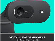 Charger l&#39;image dans la galerie, LOGITECH Webcam C505 HD (960-001364)
