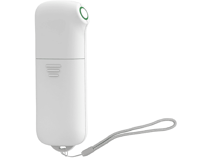 alt1