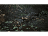 Metal gear solid : Snake eater - Day one Edition - PS5