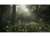 Metal gear solid : Snake eater - Day one Edition - PS5