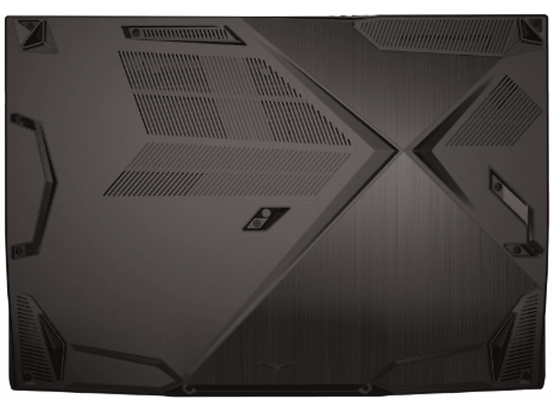 alt1