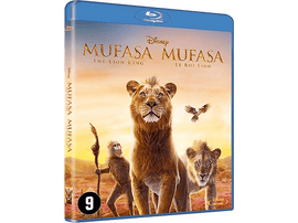 Couverture de film avec des lions et un singe.