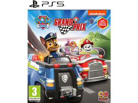 NAMCO Paw Patrol Grand Prix FR/NL PS5