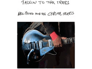 Image de guitare avec texte : Neil Young et les Chrome Hearts. Fond noir et blanc.