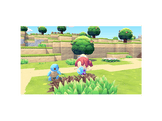NINTENDO Switch 2 Pokémon Pokopia Bundle