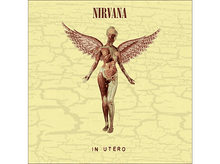 Charger l&#39;image dans la galerie, Nirvana - In Utero LP
