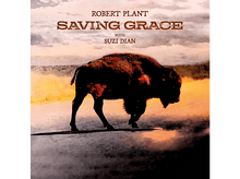 Charger l'image dans la galerie, alt1
