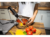 OK. Mixeur plongeur (OSB 1021)