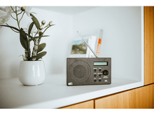 Charger l&#39;image dans la galerie, Radio numérique gris foncé et plante en pot sur une étagère blanche.
