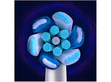 Charger l&#39;image dans la galerie, Gros plan d&#39;une tête de brosse à dents avec des poils bleus et blancs disposés en forme de fleur.
