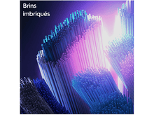 Charger l&#39;image dans la galerie, Gros plan sur les brins de brosse à dents dans différentes nuances de bleu et de blanc.
