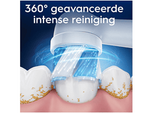 Charger l'image dans la galerie, alt1
