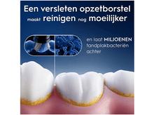 Charger l'image dans la galerie, alt1
