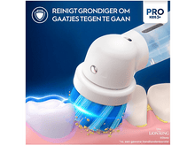 Charger l'image dans la galerie, alt1
