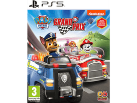 Paw Patrol Grand Prix FR/NL PS5