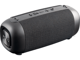 PEAQ Enceinte portable FM/DAB+ Noir (PPA 405)