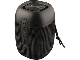 PEAQ Enceinte portable Noir (PPA 205)