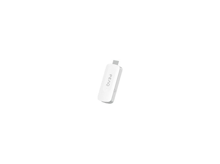 alt1