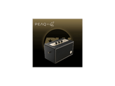 PEAQ PPA 550-RW Enceinte Bluetooth Retro Noir