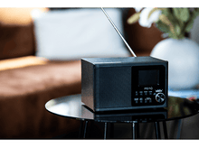 Charger l&#39;image dans la galerie, Radio noire sur une table en verre, avec un canapé et des fleurs en arrière-plan.
