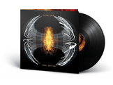 Pearl Jam - Dark Matter LP