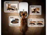 PETKIT Yumshare Solo 2 avec Caméra