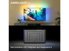 Charger l'image dans la galerie, alt1
