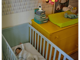 PHILIPS Babyphone vidéo numérique AVENT (SCD882/26)