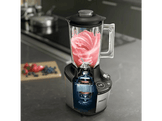 PHILIPS Blender Series 7000 (HR3760/10)