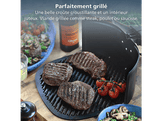 PHILIPS HD9963/00 Plaque à pizza et grill 8.3 L